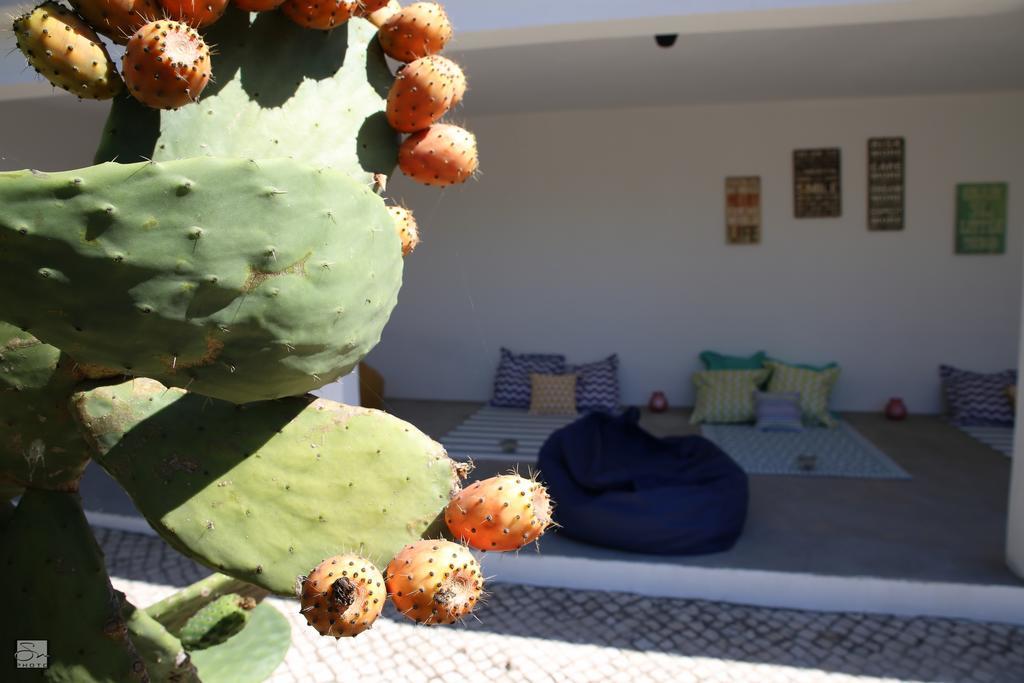 Vila Louro Santa Cruz  Luaran gambar